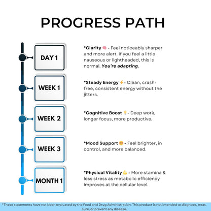Blu Fuel Methylene Blue Capsules - USP Pharmaceutical Grade Supplement For Humans - 120ct (4-month supply) Leucomethylene Blue